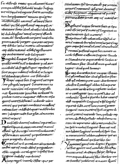 ILLUSTRATION: page from codex