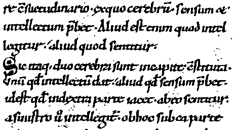 ILLUSTRATIE: Afbeelding codex ca. 1100 A.D.